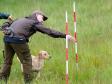 Ravensbank Wagtail (Waggie) is lined up for bird no. 2 in th....