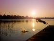 Ravensbank Lovely Rita (Lucy) 1� �r gammel.