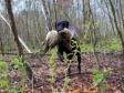 Click here to see picture This is what happens when you as Ravensbank Jock (Jock) here has a ten days