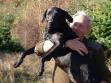 Gert M�ller hugging DKBRCH NOJCH 3UM2008 Ravensbank Swift (Swiffer) after Swiffer's very first First Prize in Open Class B. This was 14 October 2007 on Bornholm. Swiffer is from Ivy's 2006-litter.