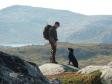 Click here to see picture Ravensbank Whizzie (Frida) on a mountain hike in Norway.