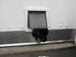 Hall�j Felix. Vent p� mig! Ravensbank Rocky Racoon (Rocky) er godt ni uger og stadig s� lille at han kan klemme sig ud gennem kattelemmen.